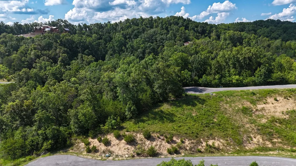9 Stone Cove Way Dandridge, TN 37725