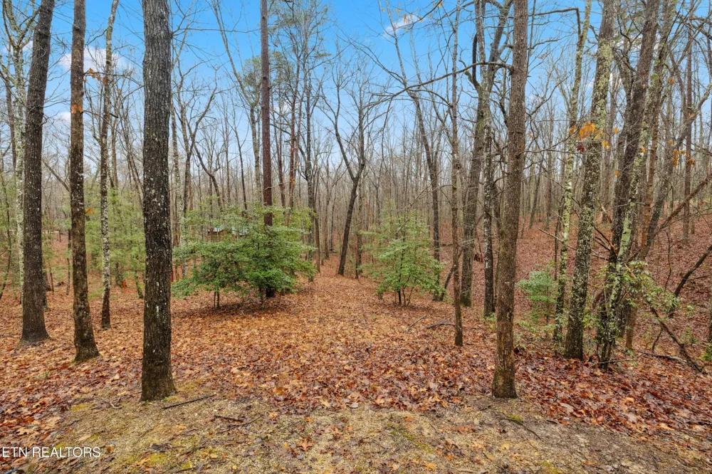 930 Wilderness Tr Oneida, TN 37841