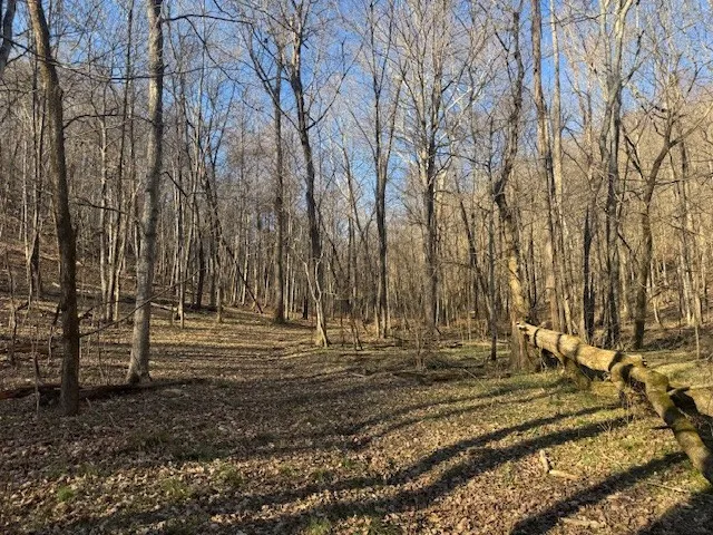 0 Jacobs Rd Columbia, TN 38401