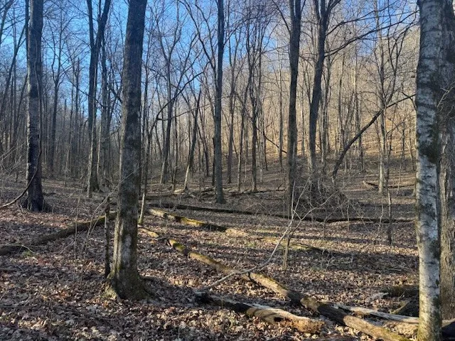 0 Jacobs Rd Columbia, TN 38401