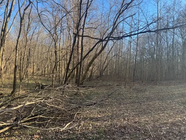 0 Jacobs Rd Columbia, TN 38401