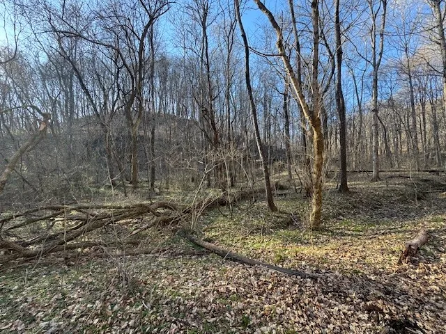 0 Jacobs Rd Columbia, TN 38401
