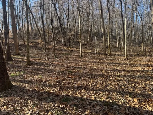 0 Jacobs Rd Columbia, TN 38401