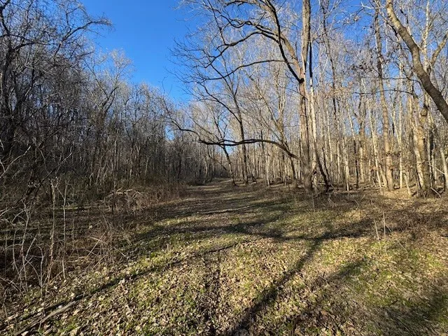 0 Jacobs Rd Columbia, TN 38401