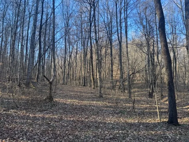0 Jacobs Rd Columbia, TN 38401