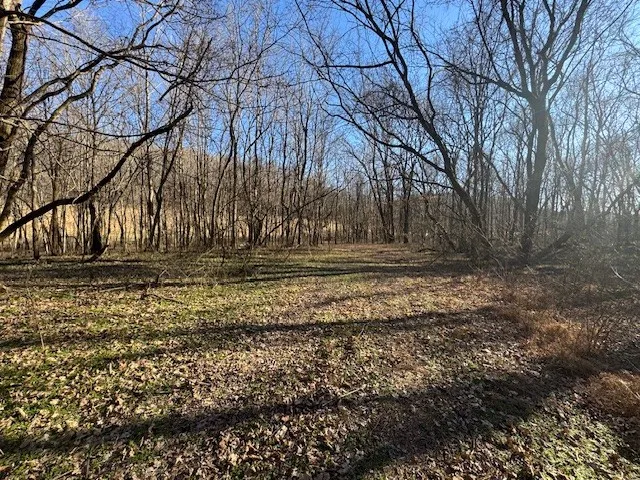 0 Jacobs Rd Columbia, TN 38401
