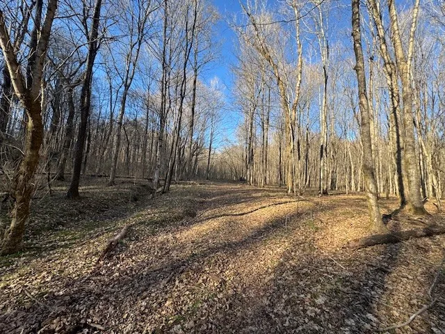 0 Jacobs Rd Columbia, TN 38401
