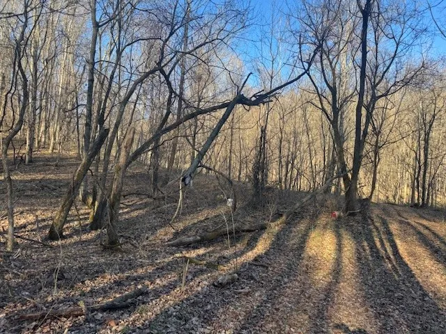 0 Jacobs Rd Columbia, TN 38401