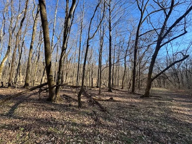 0 Jacobs Rd Columbia, TN 38401