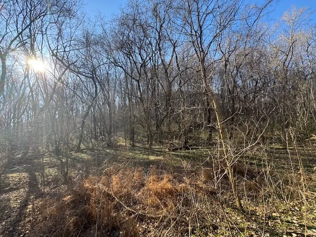 0 Jacobs Rd Columbia, TN 38401