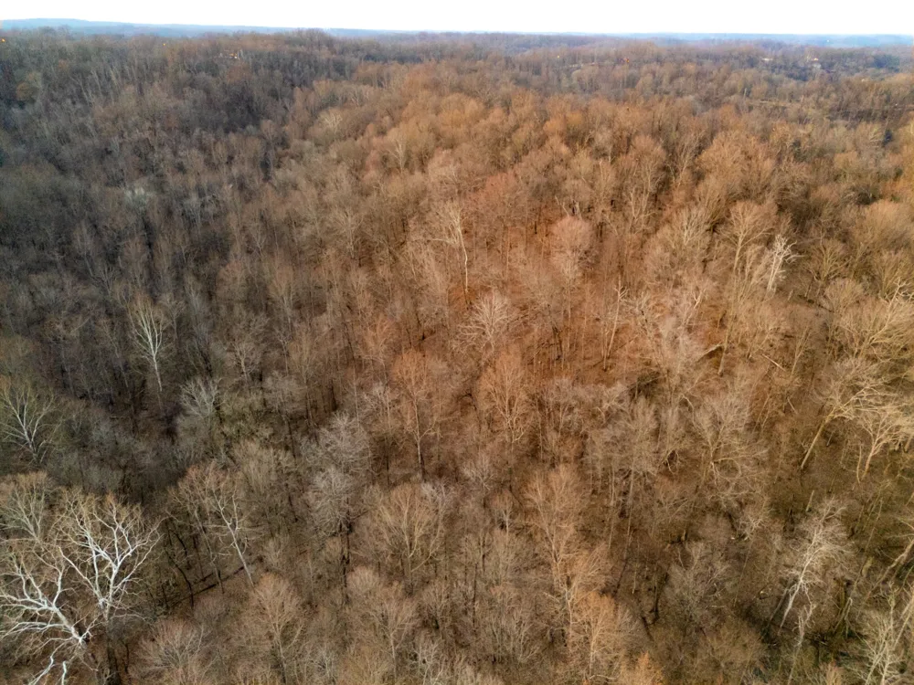 0 Jacobs Rd Columbia, TN 38401