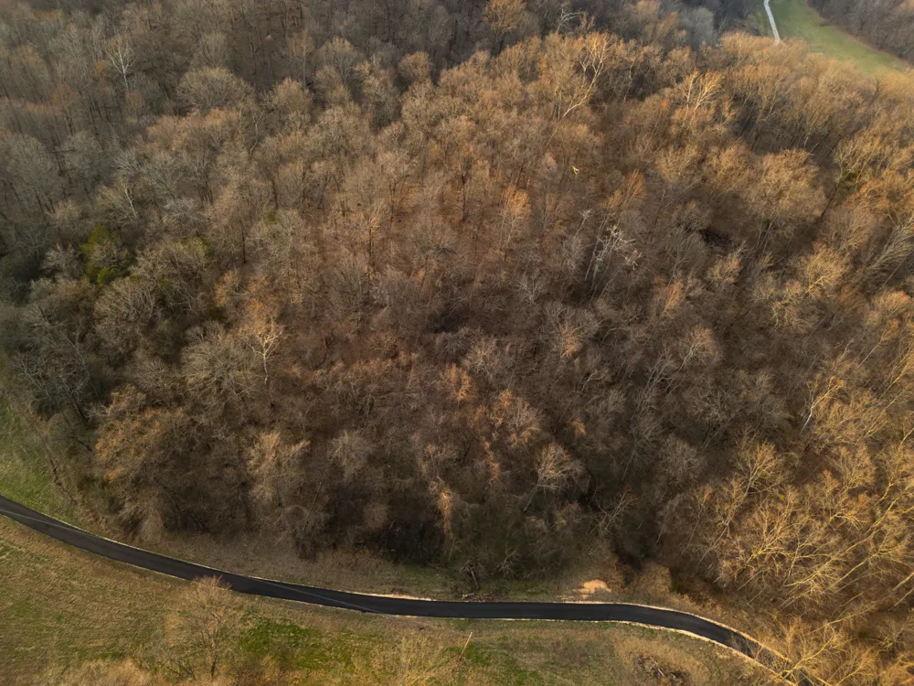 0 Jacobs Rd Columbia, TN 38401