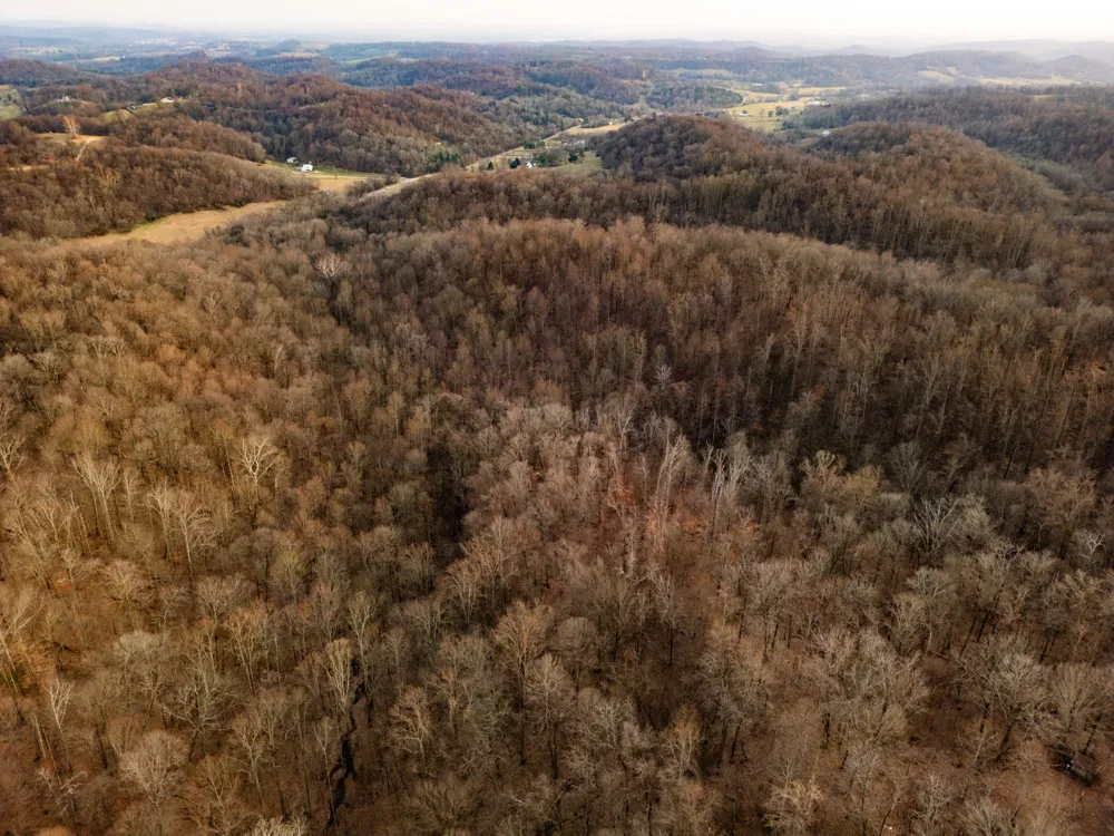 0 Jacobs Rd Columbia, TN 38401