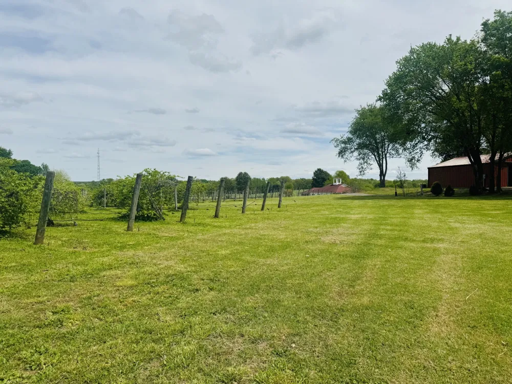 2982 Harvey Bowden Rd Paris, TN 38242