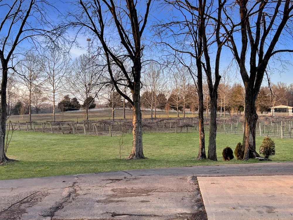 2982 Harvey Bowden Rd Paris, TN 38242