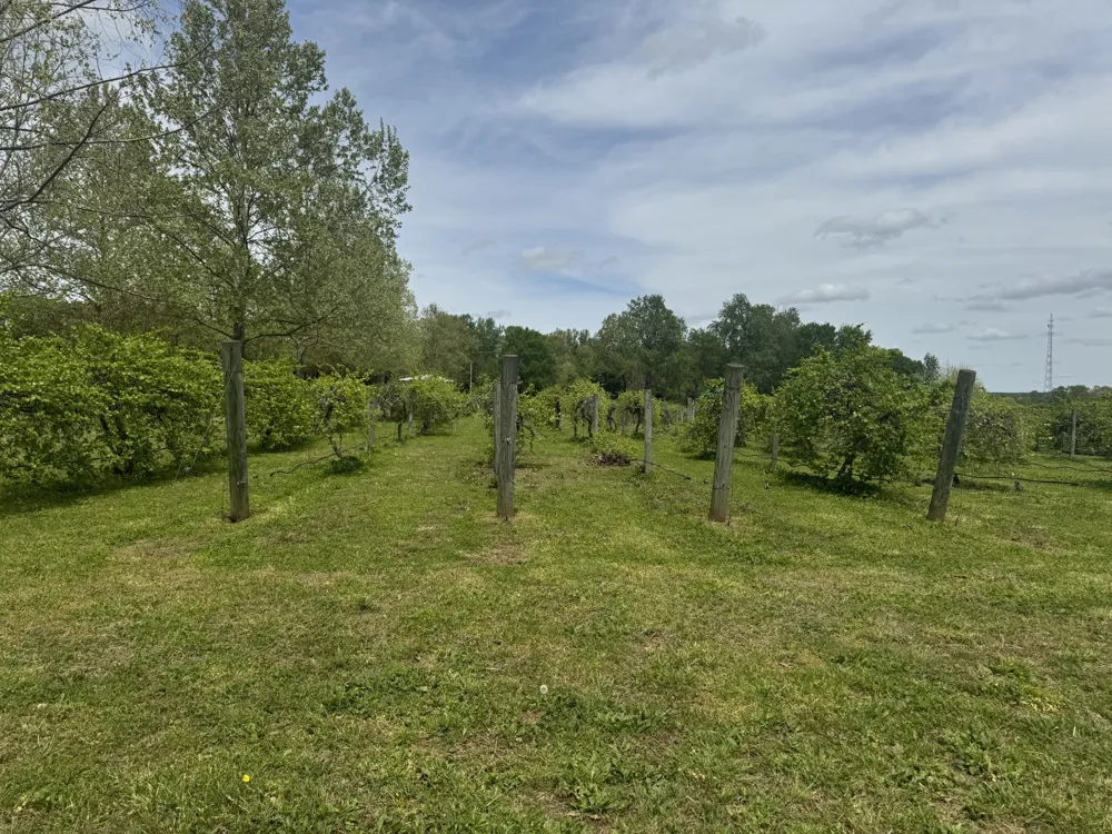 2982 Harvey Bowden Rd Paris, TN 38242