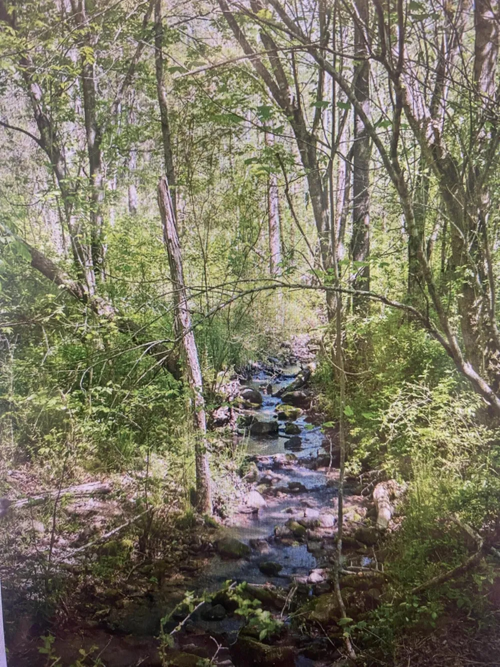 1 Smith Road Dunlap, TN 37327