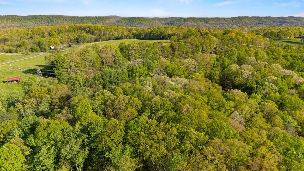 0 Espalier Drive Decatur, TN 37322