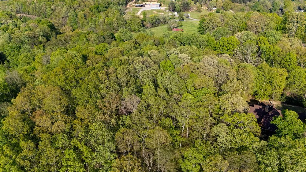 0 Espalier Drive Decatur, TN 37322