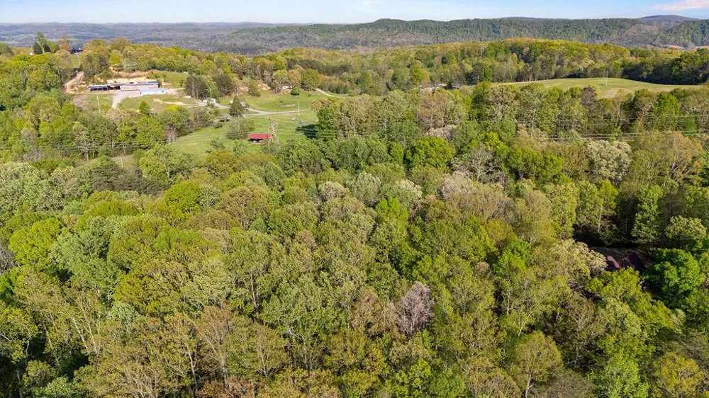 0 Espalier Drive Decatur, TN 37322