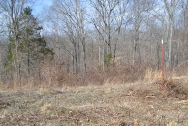 0 Hush Hollow Lane Baxter, TN 38544