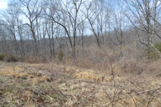 0 Hush Hollow Lane Baxter, TN 38544