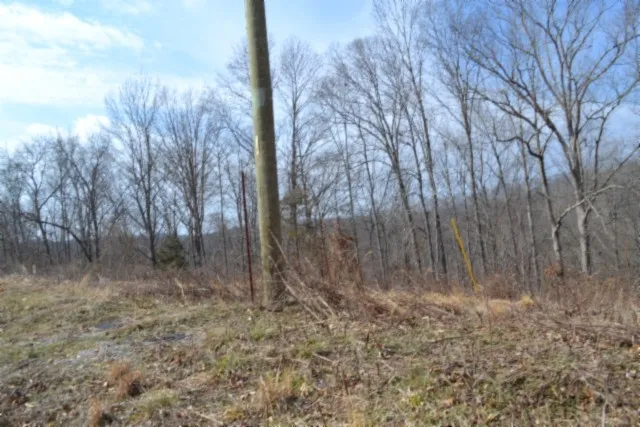 0 Hush Hollow Lane Baxter, TN 38544