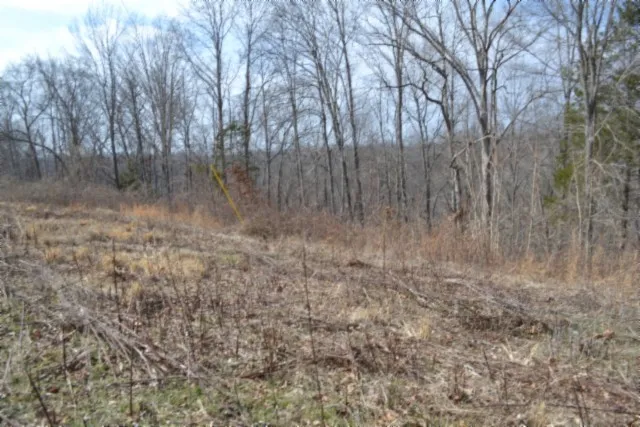0 Hush Hollow Lane Baxter, TN 38544