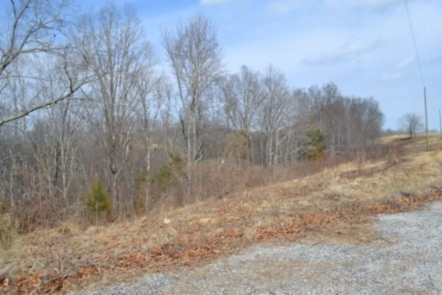 0 Hush Hollow Lane Baxter, TN 38544