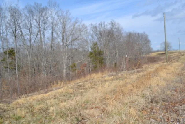 0 Hush Hollow Lane Baxter, TN 38544