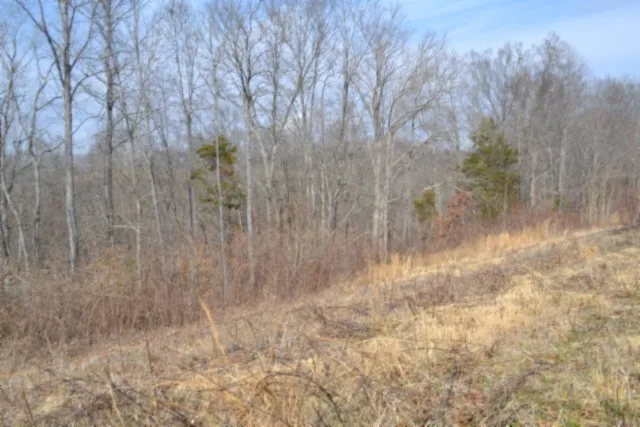 0 Hush Hollow Lane Baxter, TN 38544