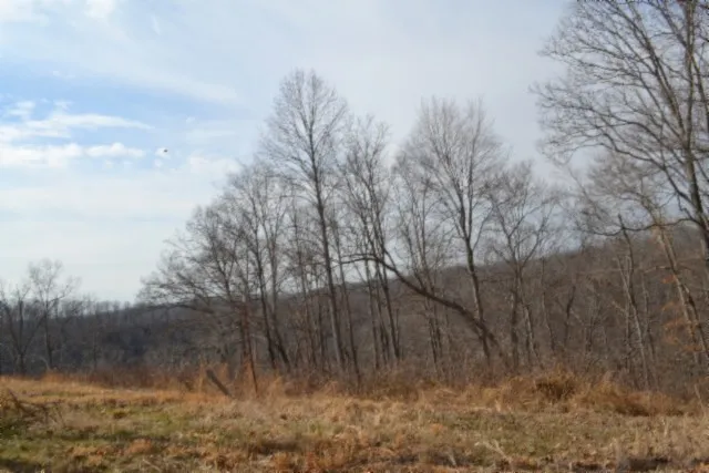 0 Hush Hollow Lane Baxter, TN 38544