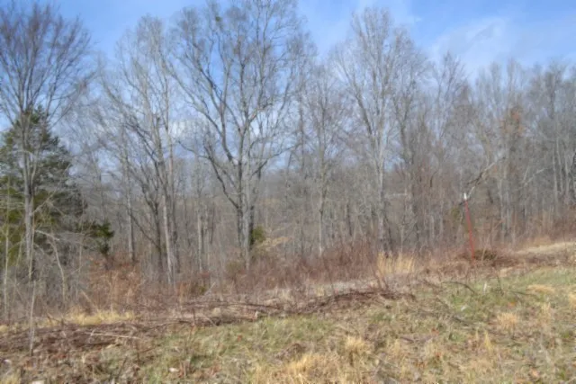 0 Hush Hollow Lane Baxter, TN 38544