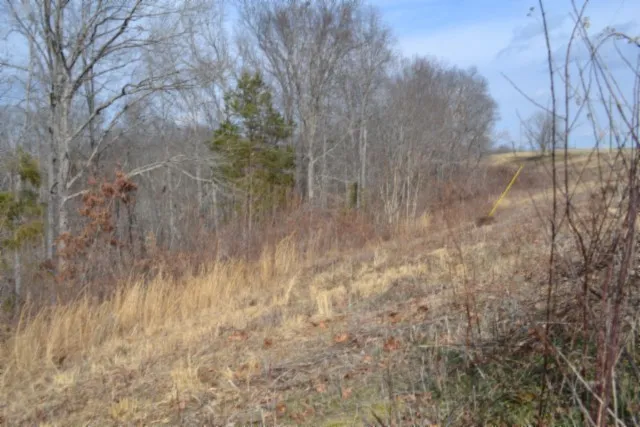 0 Hush Hollow Lane Baxter, TN 38544