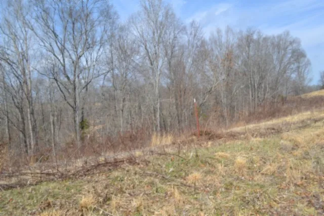 0 Hush Hollow Lane Baxter, TN 38544