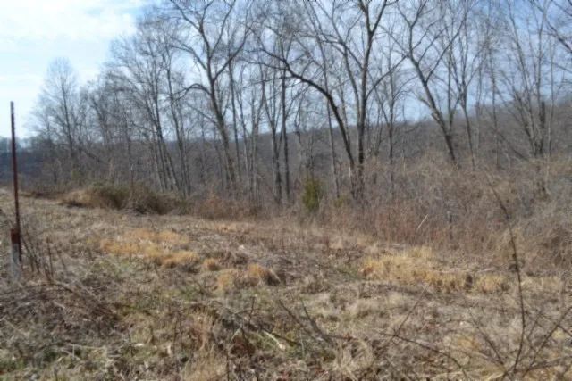 0 Hush Hollow Lane Baxter, TN 38544
