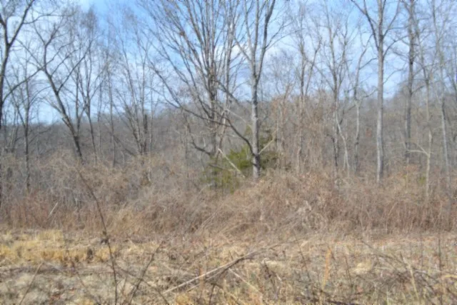 0 Hush Hollow Lane Baxter, TN 38544