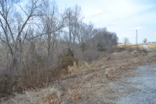 0 Hush Hollow Lane Baxter, TN 38544