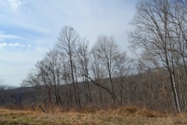 0 Hush Hollow Lane Baxter, TN 38544