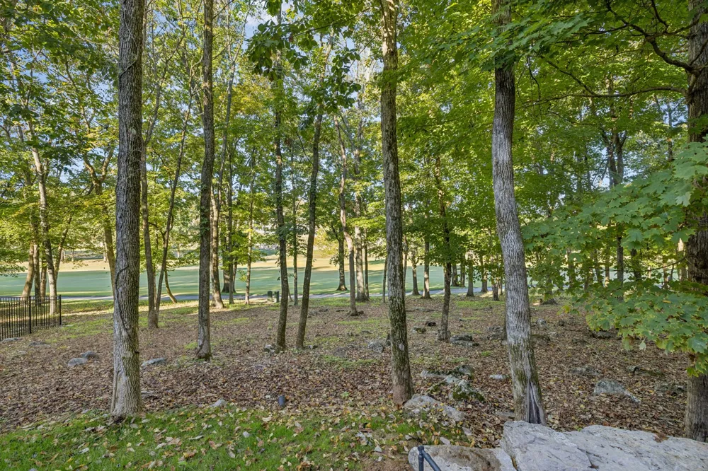 8463 Heirloom Blvd College Grove, TN 37046
