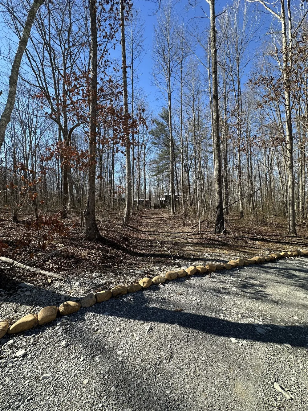222 Sunset Bluff Way Monteagle, TN 37356