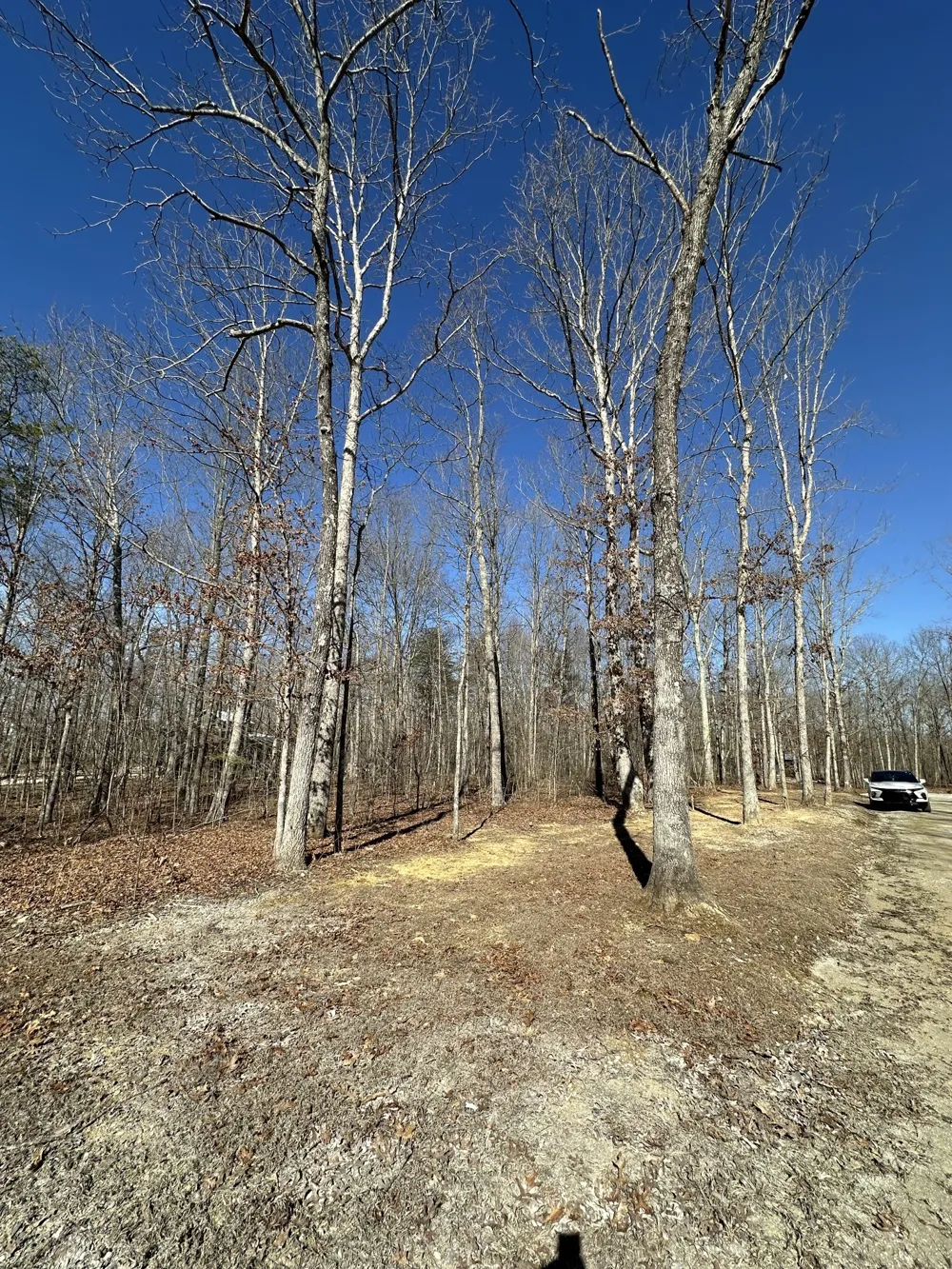 222 Sunset Bluff Way Monteagle, TN 37356