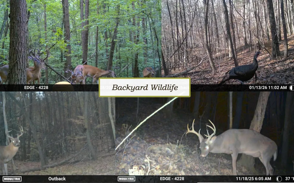 852 Old Grand Center Road Chickamauga, GA 30707