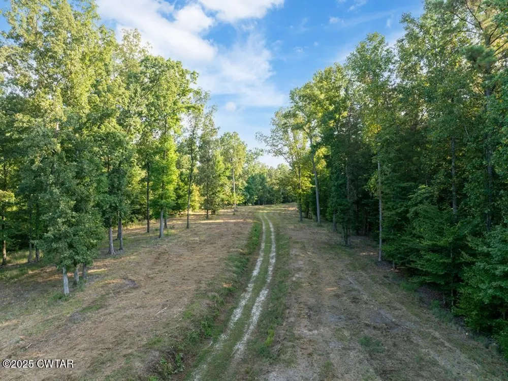 0 Dogwood Ln Huntingdon, TN 38344