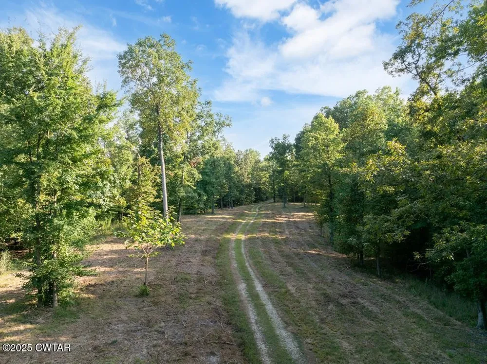 0 Dogwood Ln Huntingdon, TN 38344