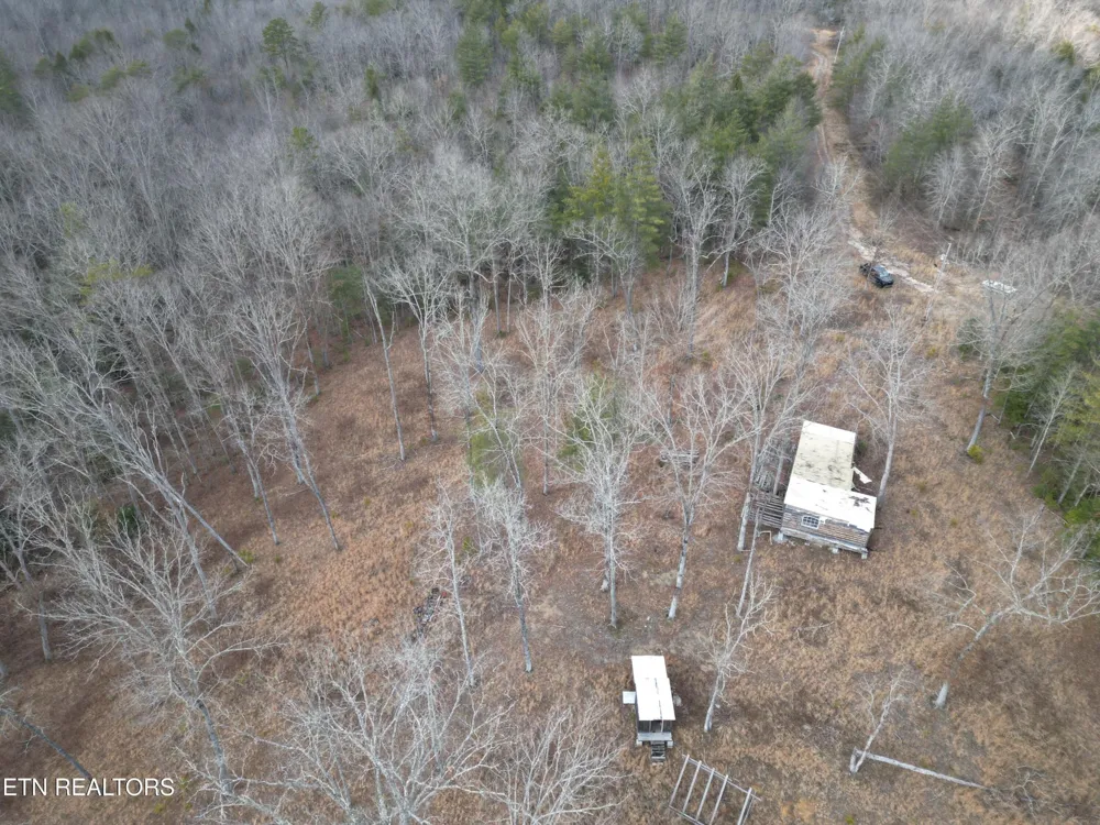 566 William Branch Rd Lancing, TN 37770