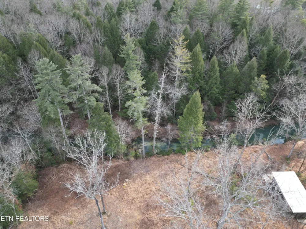 566 William Branch Rd Lancing, TN 37770