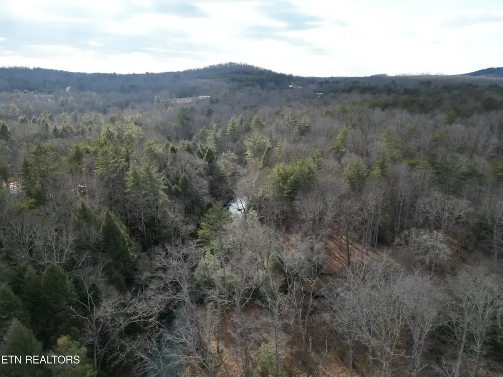 566 William Branch Rd Lancing, TN 37770