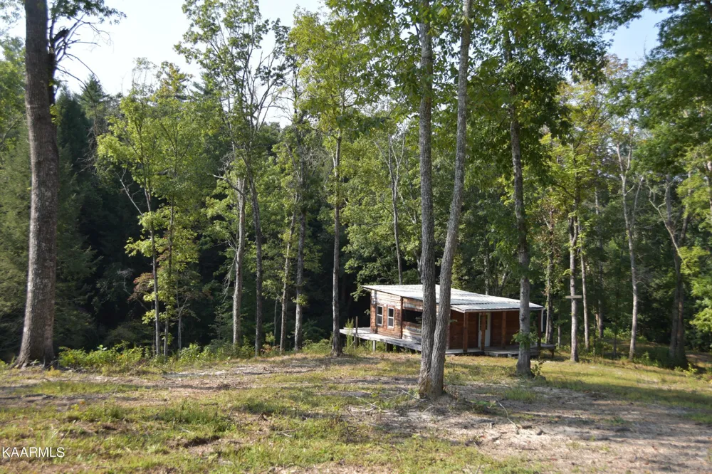 566 William Branch Rd Lancing, TN 37770