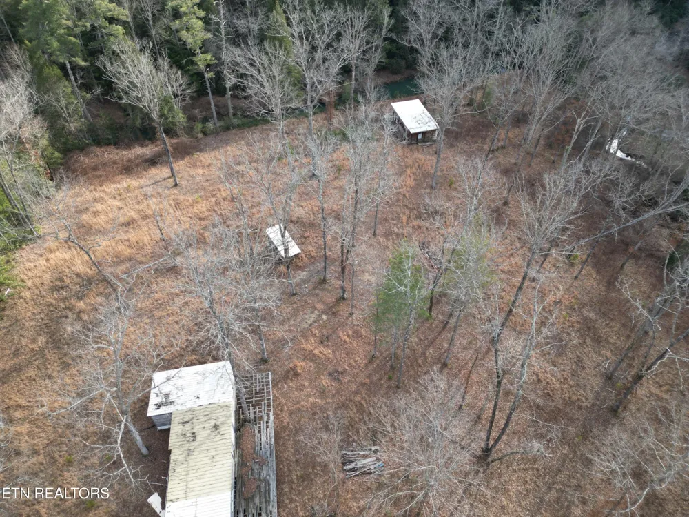 566 William Branch Rd Lancing, TN 37770